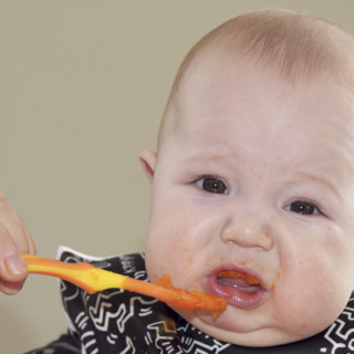 max_food-reversed-scaled