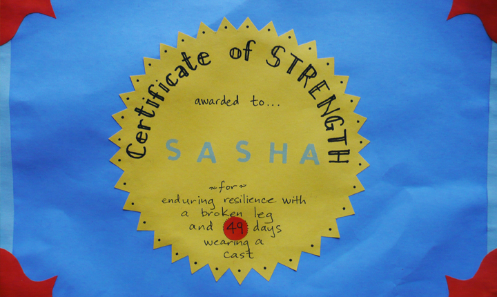 Notice the number of days has been ammended from 35 to 49