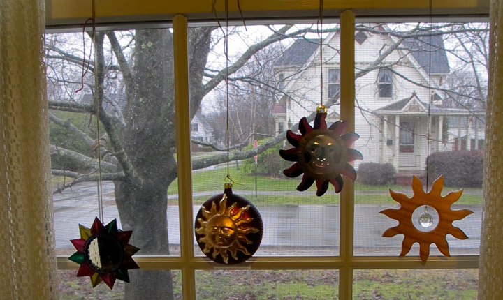 Arielle-Greenberg-hero-10