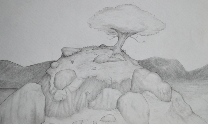 tree-rock-hill-scaled