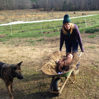 Frannie-Eversole-wheelbarrow-square