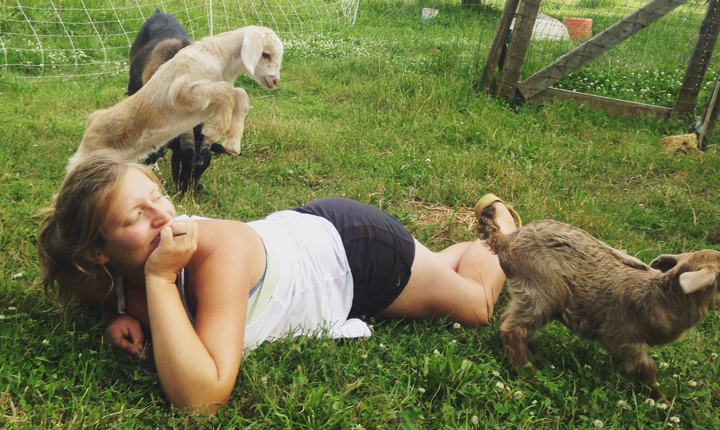 Frannie-animals-scaled