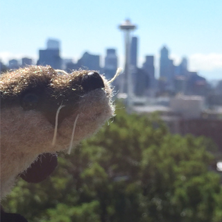 Malcolm's otter "Little Lady"