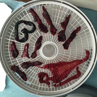 placenta-dehydrator-square