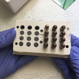 placenta-pills-square