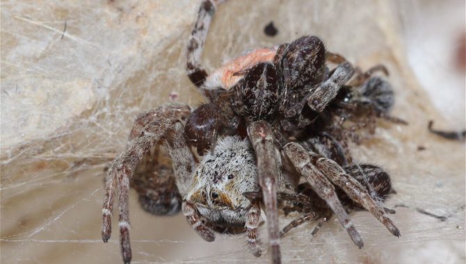 Photo by Anja Junghanns